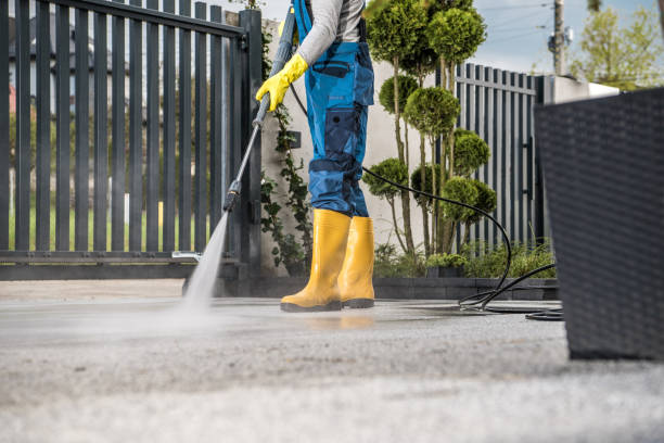 Best Roof Pressure Washing  in Laurel Hill, VA